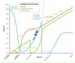 Иван Ларин фотография #7 (источник - https://vk.com/id1915533)