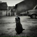 Фотография Кондратьева Жени