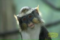 Денис Чириков фотография #5 (источник - https://vk.com/id9476982)