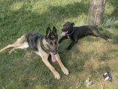 Андрій Левадний фотография #8 (источник - https://vk.com/id45889416)