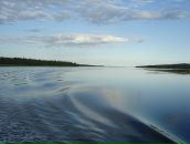 Анна Журавлёва фотография #8 (источник - https://vk.com/id461369)