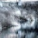 Роман Виноградов фотография #8 (источник - https://vk.com/id138232268)