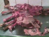 Фотография Юрца Мего