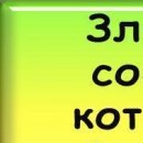 Сергій Паляниця фотография #32 (источник - https://vk.com/id62531653)