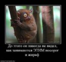 Ігор Невідомський фотография #15 (источник - https://vk.com/id49550529)