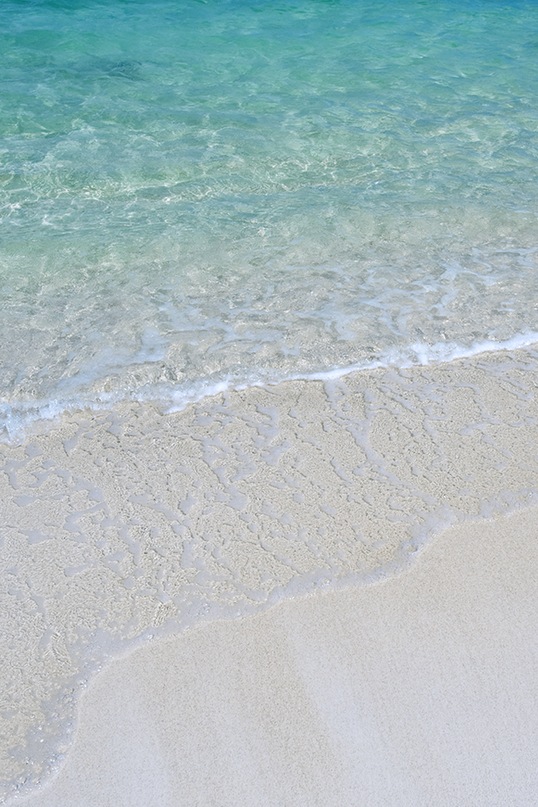 Дмитрий Пчелинцев фотография #2