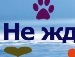 Танька Строїн фотография #20 (источник - https://vk.com/id134386833)