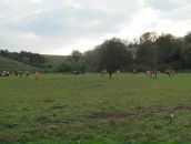 Андрій Ільницький фотография #34 (источник - https://vk.com/id75537117)