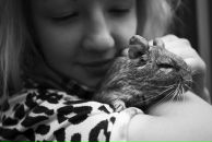 Фотография Neverova Anya