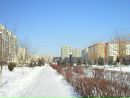 Сергій Мандебура фотография #28 (источник - https://vk.com/id106762388)