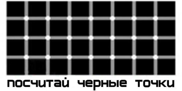 Сергей Савельев фото №17