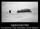 Діма Прокопчук фотография #48 (источник - https://vk.com/id127521186)