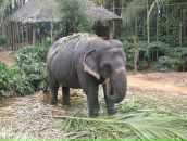 Дмитрий Матвеенко фотография #26 (источник - https://vk.com/id436376)