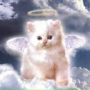 Ірочка Золотарчук фотография #21 (источник - https://vk.com/id143177476)