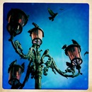 Human Equation фотография #9 (источник - https://vk.com/id60607658)