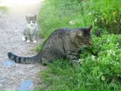 Фотография Филипповой Ирины