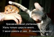 Svitlana Bērzupe фотография #35 (источник - https://vk.com/id89568189)