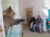 Фотография  