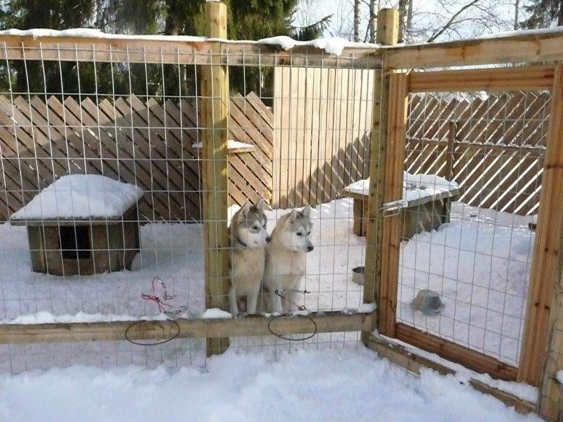 Катя Бутенко фотография #37