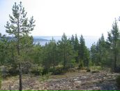 Иван Паньков фотография #8 (источник - https://vk.com/id746503)