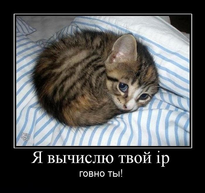 Аня Грищенко фотография #29