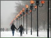 Фотография Венедиктовой Елизаветы