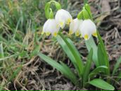 Віктор Бевза фотография #18 (источник - https://vk.com/id71881935)