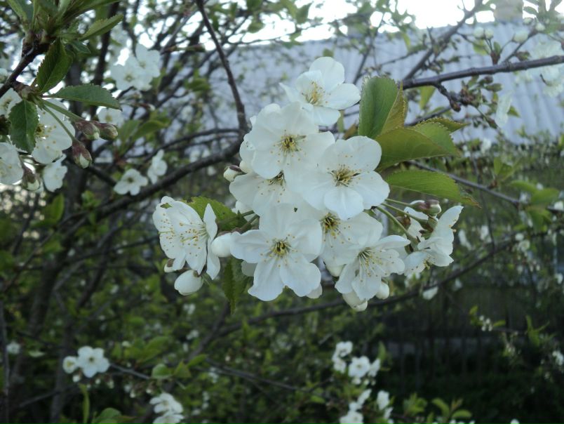 №6, Татьяна Лукьянова, 20.7 №6, Татьяна Лукьянова, 20.7