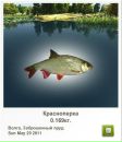 Владік Попович фотография #28 (источник - https://vk.com/id106461464)