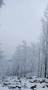 Надя Ш. фотография #10 (источник - https://vk.com/id151546051)