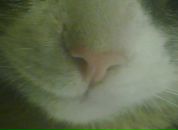 Фотография Александрова Александра