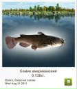 Дініска Бобик фотография #7 (источник - https://vk.com/id138257488)