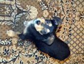 Фотография Легошиной Екатерины