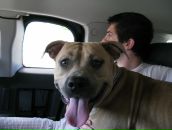 Фотография Эрнестовича Артура