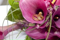 Тетяна Майєр фотография #5 (источник - https://vk.com/id7811212)