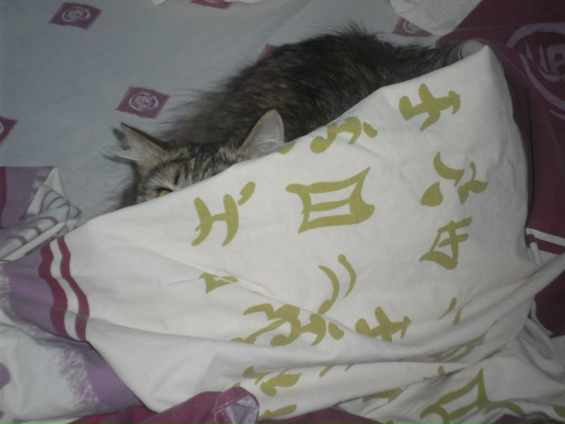 Женя Дмитриев фотография #44