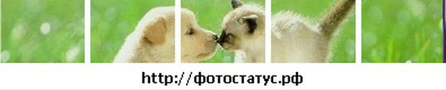 Лера Лоц фотография #36 (источник - https://vk.com/id57504657)