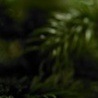 Віка Бобик фотография #47 (источник - https://vk.com/id140487347)
