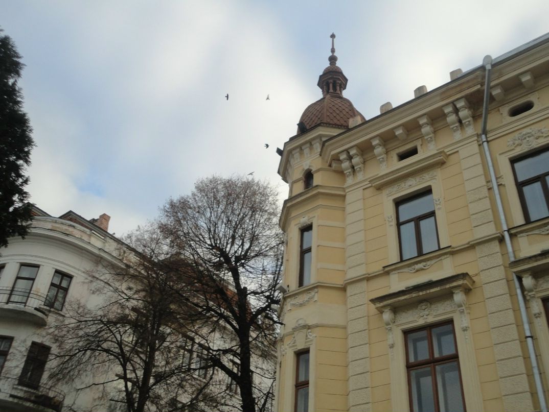 Ighor July фотография #22