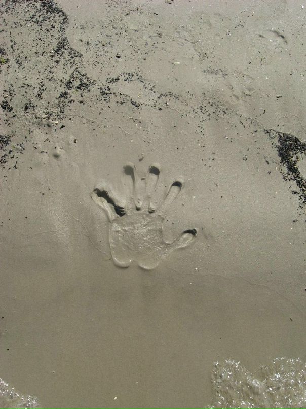 Сергей Левашев фотография #35