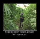Фотография Трефиловой Ирины