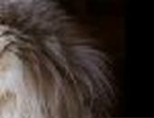 Катюшка Вітенко фотография #14 (источник - https://vk.com/id134565705)