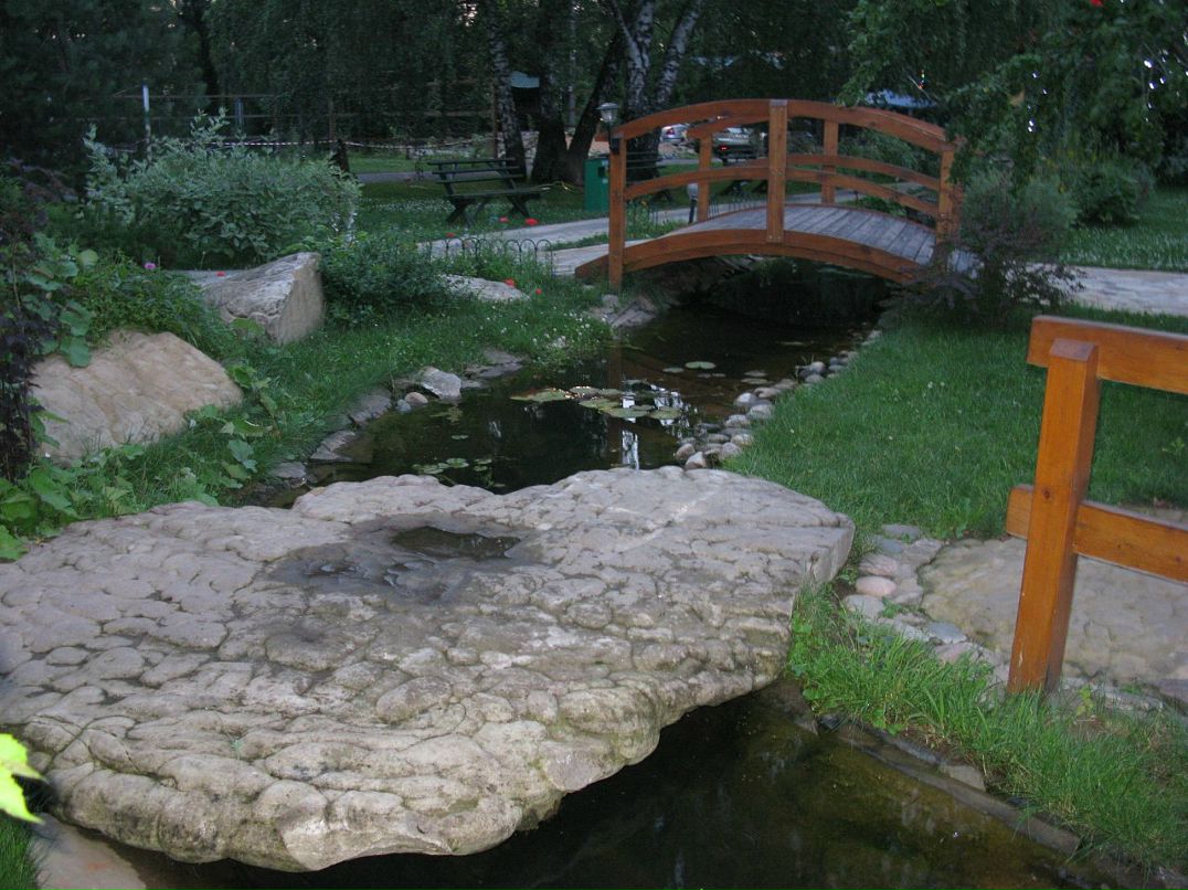 Дмитрий Ермилов фотография #43