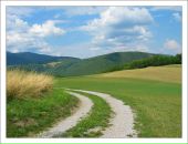 Фотография Чернова Тимура