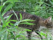 Фотография Ваныкина Юрия