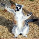 Фотография Гашпар Ольги