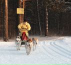 Фотография Бочарников Сергей