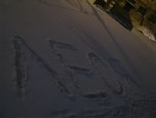 Фотография Алексеевой Олеси