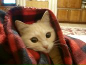 Фотография Невой Марии