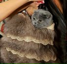 Руслан Цомаев фотография #4 (источник - https://vk.com/id796407)